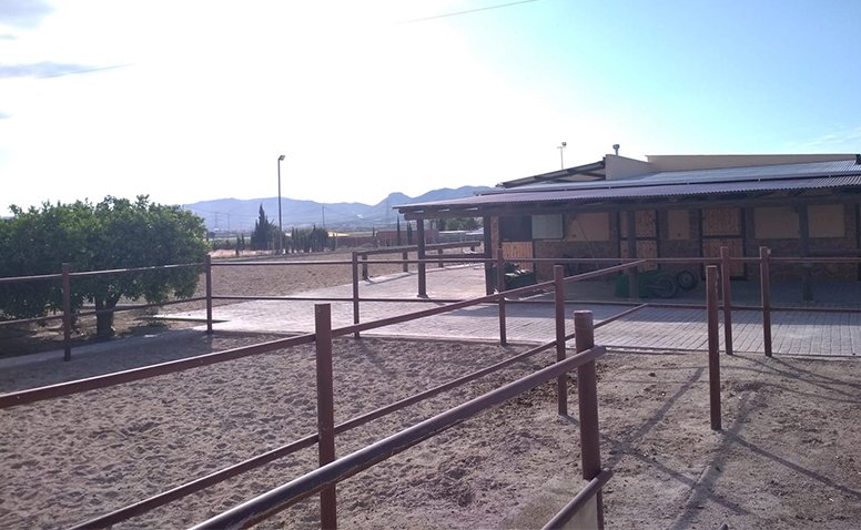 Amplio terreno al aire libre en guardería canina en Murcia
